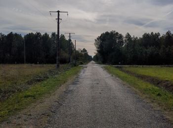 Tocht Stappen Gradignan - Cayac le Barp - Photo