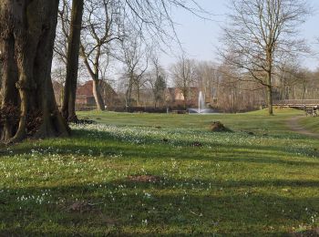 Randonnée A pied Kappeln - Schönhagen-Brodersby - Photo