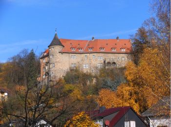 Tour Zu Fuß Wiesloch - Weinwanderweg Mannaberg - Photo