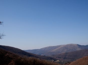 Trail On foot Calenzano - Sentiero CAI 8 - Sez. Sesto Fiorentino - Photo