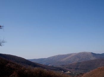 Tour Zu Fuß Calenzano - Sentiero CAI 8 - Sez. Sesto Fiorentino - Photo