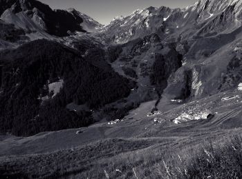 Tour Zu Fuß Saint-Rhémy-en-Bosses - Alta Via n. 1 della Valle d'Aosta - Tappa 15 - Photo