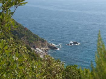 Percorso A piedi Levanto - Sentiero Verde Azzurro: Levanto - Deiva Marina - Photo