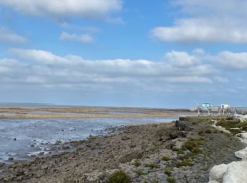 Randonnée Marche Port-des-Barques - Île Madame - Photo