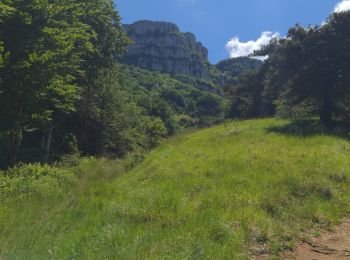 Trail Walking Beauregard-Baret - Pas de la pierre - Photo