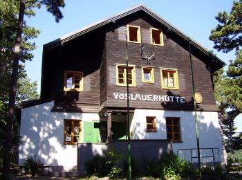 Randonnée A pied Gemeinde Bad Vöslau - Bad Vöslau B5a Lusthausboden - Photo