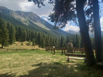 Excursión Senderismo Crots - Boucle du lac de Lauzerot 12.8.23 - Photo