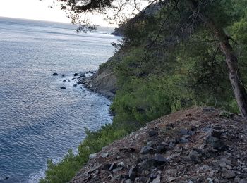 Trail Trail La Seyne-sur-Mer - fabregas, sémaphore du cap Sicié. sentier du littoral  - Photo