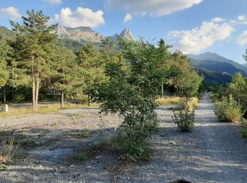 Trail Walking Uvernet-Fours - Uvernet-Fours - Boucle du Bachelard, sentier découverte - Photo