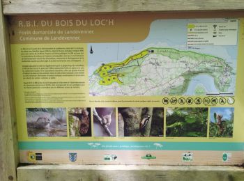 Tour Wandern Landévennec - Le loch-Sillon des anglais avec Ripley 08-07-2023 - Photo