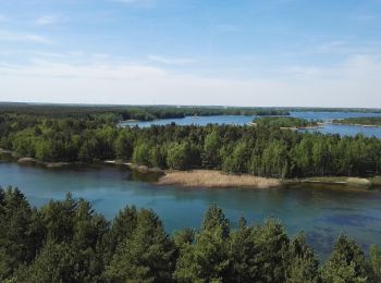 Tocht Te voet Senftenberg - Senftenberger See Rundweg - Photo