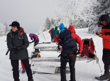 Tocht Sneeuwschoenen Autrans-Méaudre en Vercors - La Quoi La Grande Brèche 2020 - Photo