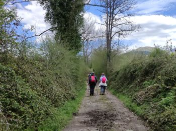 Excursión Senderismo Bilhères - BILHERES en OSSAU Autour du turon de Tecouere G4 