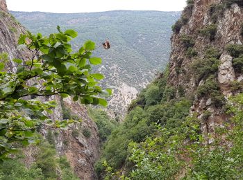 Randonnée Marche Thuès-Entre-Valls - Carança - Espagne - Photo