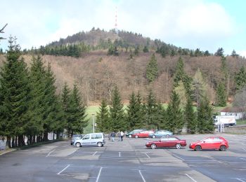 Percorso A piedi Bad Tabarz - Rennsteig-Leiter Tabarz - Photo