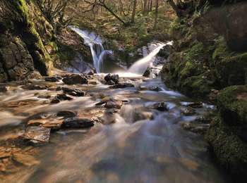 Trail On foot Aywaille - AY21 Vallon du Ninglinspo - Photo
