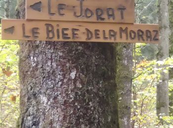 Tour Wandern Haut Valromey - Le Jorat  - Brénod  - Photo