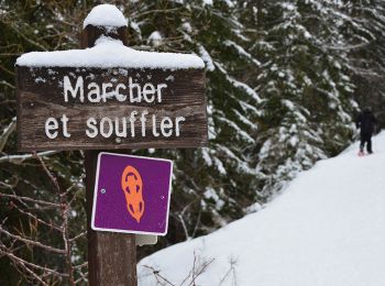 Tocht Sneeuwschoenen Uvernet-Fours - Pra Loup - Clos des Serres - Photo