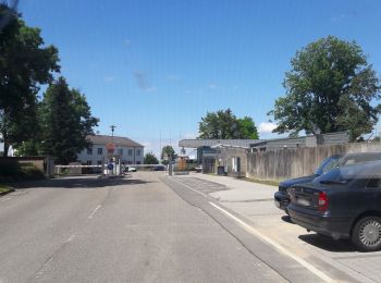 Tour Zu Fuß Bruchsal - BR - 3 Rundwanderweg Eichelberg - Photo