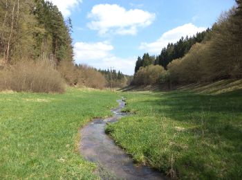 Tocht Te voet Forst Aura - Roter Schmetterling, Rundwanderweg Emmerichsthal - Photo