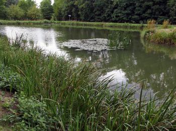 Tour Zu Fuß Schwarzenbruck - Burgthann Walking König-Ludwig-Runde - Photo