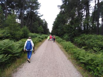 Trail Walking Canéjan - lestonnat - Photo