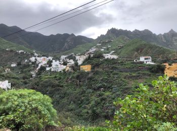 Tour Wandern Santa Cruz de Tenerife - 20230128 boucle Tâcheron - Amalciga  - Photo