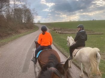 Trail Horseback riding Fougerolles-Saint-Valbert - La feuillée - Photo
