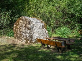 Tocht Te voet Weismain - Frankenberg Rundweg - Photo