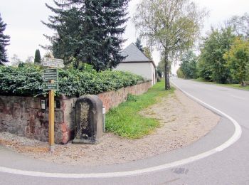 Randonnée A pied Wechselburg - Wechselburg – Winkeln - Photo