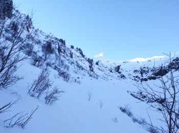 Trail Touring skiing La Léchère - Les marmottes noires  - Photo