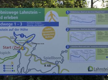 Excursión A pie Lahnstein - Rheinsteig-Exkursion Spießborner Grillhütte - Photo