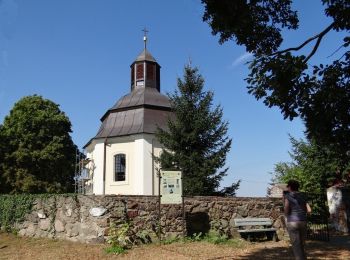 Tour Zu Fuß Zielenzig - Sulęcin - Żubrów - Photo