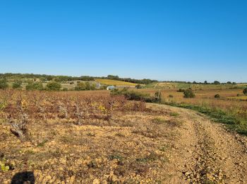 Tocht Stappen Lunel - Lunel-Verargues-StChristol et retour  - Photo