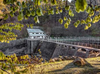 Percorso A piedi Freyung - Rundwanderweg Nr. 1 Saußbach - Ahornöd - Photo