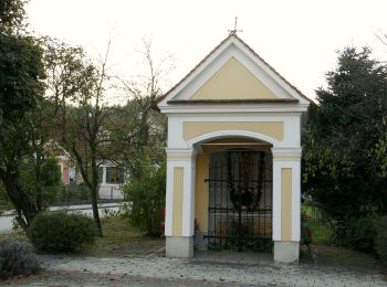 Tour Zu Fuß Bad Blumau - Nat(o)ur Wanderung - Photo