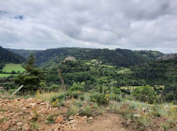 Tocht Stappen Le Monastier-sur-Gazeille - Steveson 2 Monastier-Bouchet - Photo