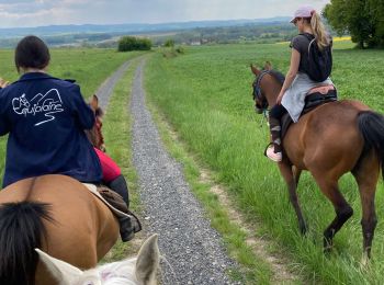 Trail Horseback riding Frémonville - Fremonville tiboy Vispa Isabelle  - Photo