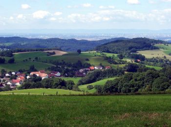 Percorso A piedi Abtsteinach - Rundwanderweg Steinachquelle 5: Götzenklingen-Weg - Photo