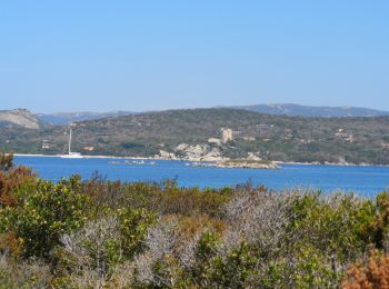 Tocht Stappen Figari - sentier littoral baie de Figari  - Photo