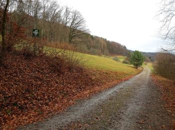 Trail On foot Otelfingen - Eggetsacher - Bildstock - Photo