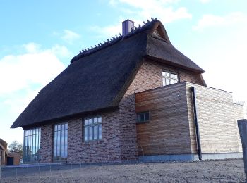 Tour Zu Fuß Nieby - Rundwanderweg 2 Elster - Photo