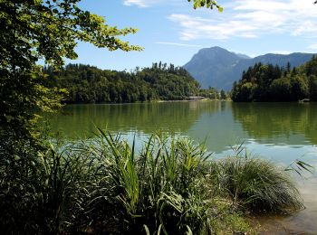 Randonnée A pied Kiefersfelden - Gießenbachklamm Rundweg - Photo