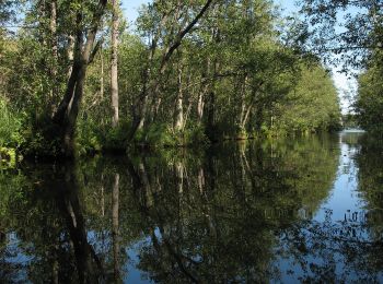 Randonnée A pied Fürstenberg/Havel - Woblitzrundweg - Photo