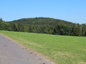 Randonnée A pied Hilders - Rundweg 19, Eckweisbach - Photo