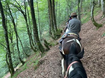 Trail Horseback riding Accous - Accous-Lescun-Lhers - Photo