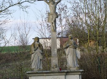 Tocht Te voet Dittelbrunn - Römerweg - Photo