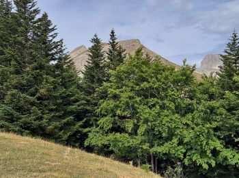 Excursión Senderismo Le Dévoluy - Maniboux - Photo