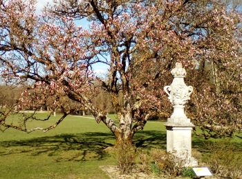 Tour Wandern Cheminon - cheminon - Photo