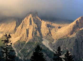 Randonnée A pied Primiero San Martino di Castrozza - Sentiero di Val Zanchetta - Photo